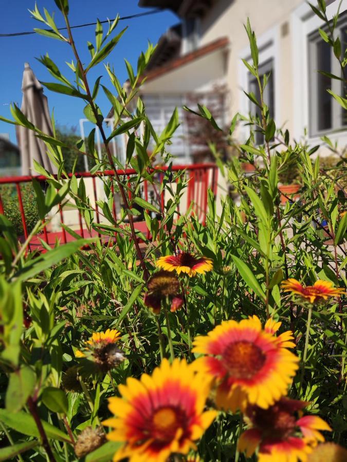 Bed and Breakfast Campagn'Arts à Villechétif Extérieur photo